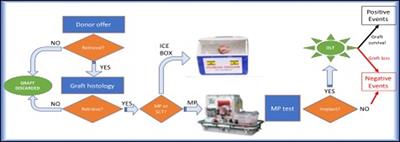 How useful is the machine perfusion in liver transplantation? An answer from a national survey